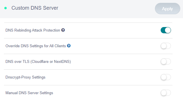 custom dns server